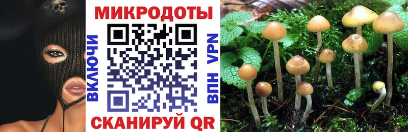 Галлюциногенные грибы Magic Shrooms Переславль-Залесский